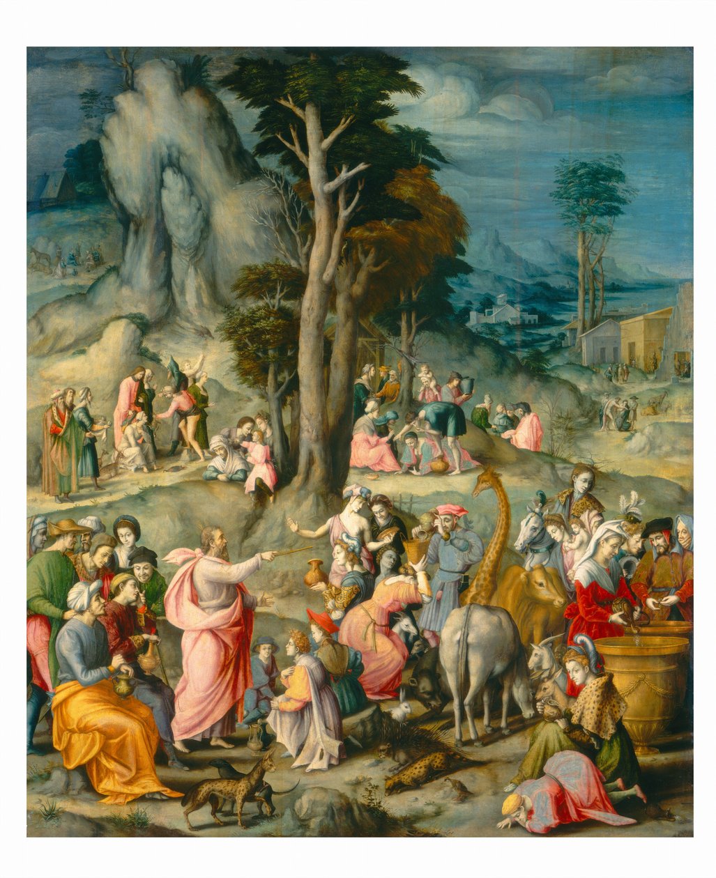 A coleta de maná de Bacchiacca