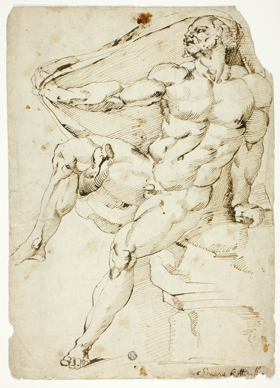 Nu masculino académico representando Hércules com o manto de Nesso (frente e verso) de Baccio Bandinelli