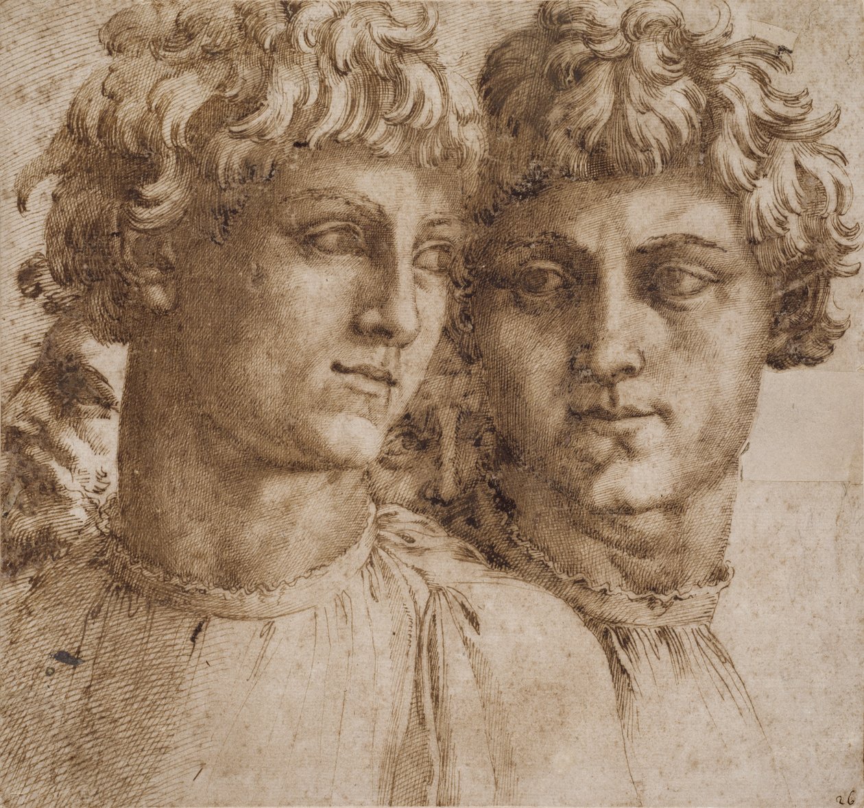 Dois Estudos do Chefe da Juventude, c.1550 de Baccio Bandinelli