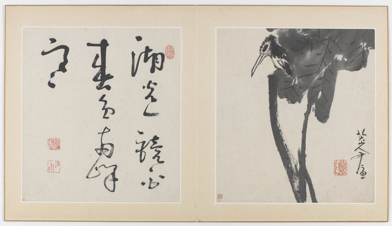 Páginas de um álbum de flores, pássaros, insetos e peixes, dinastia Qing, 1688-89 (tinta sobre papel) de Bada Shanren