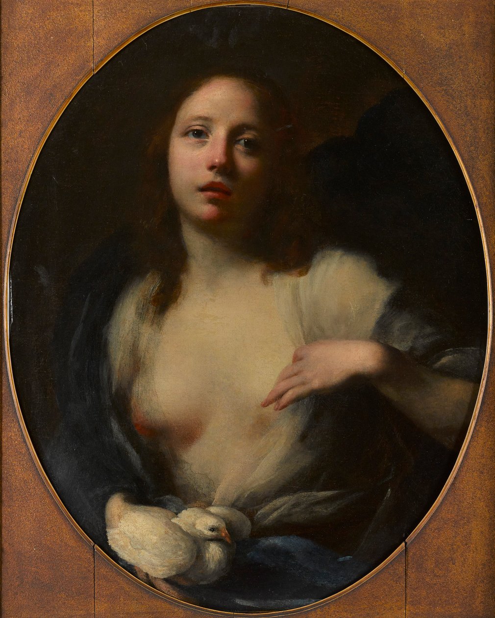 Pintura de uma jovem rapariga com pomba branca (óleo sobre tela) de Baldassare (1611 89) Franceschini