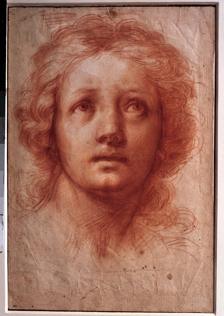 Estudo da cabeça de uma mulher, o olhar fixo vira para cima Desenho com tinta e lavagem por Franceschini Baldassare dit il Volterrano (1611-1689). Século XVII. Dim. 0,42x0,28m. Paris, Museu do Louvre de Baldassare  Franceschini