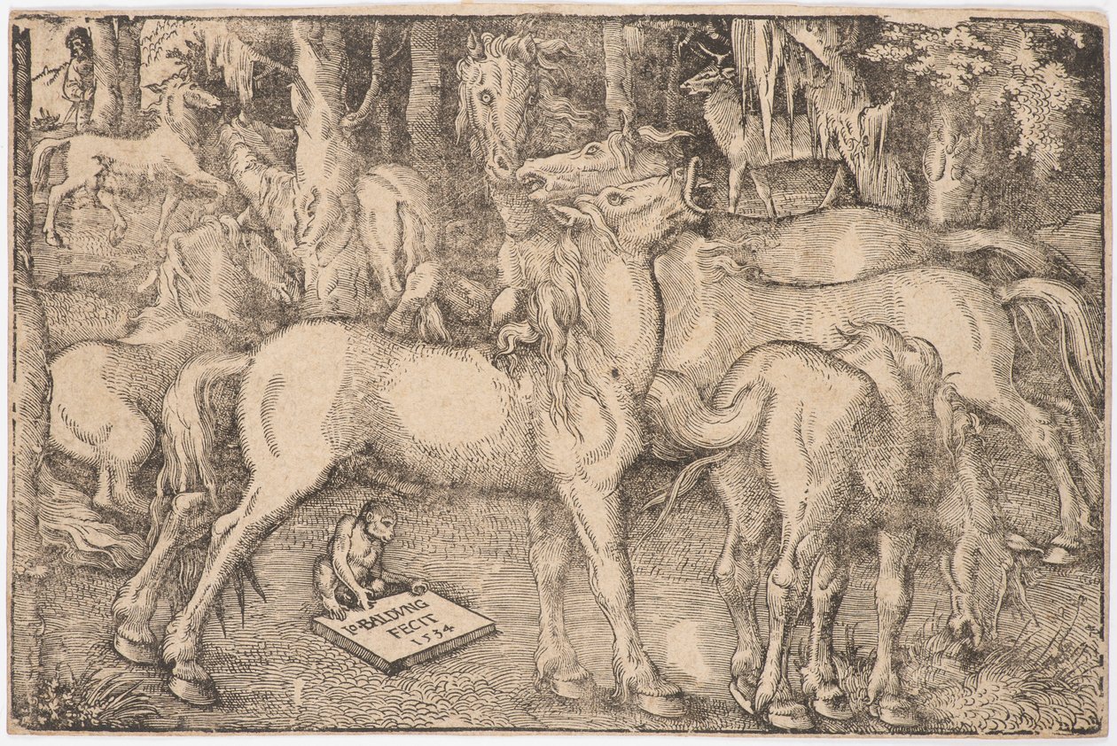 Grupo de Sete Cavalos, 1534. de Baldung