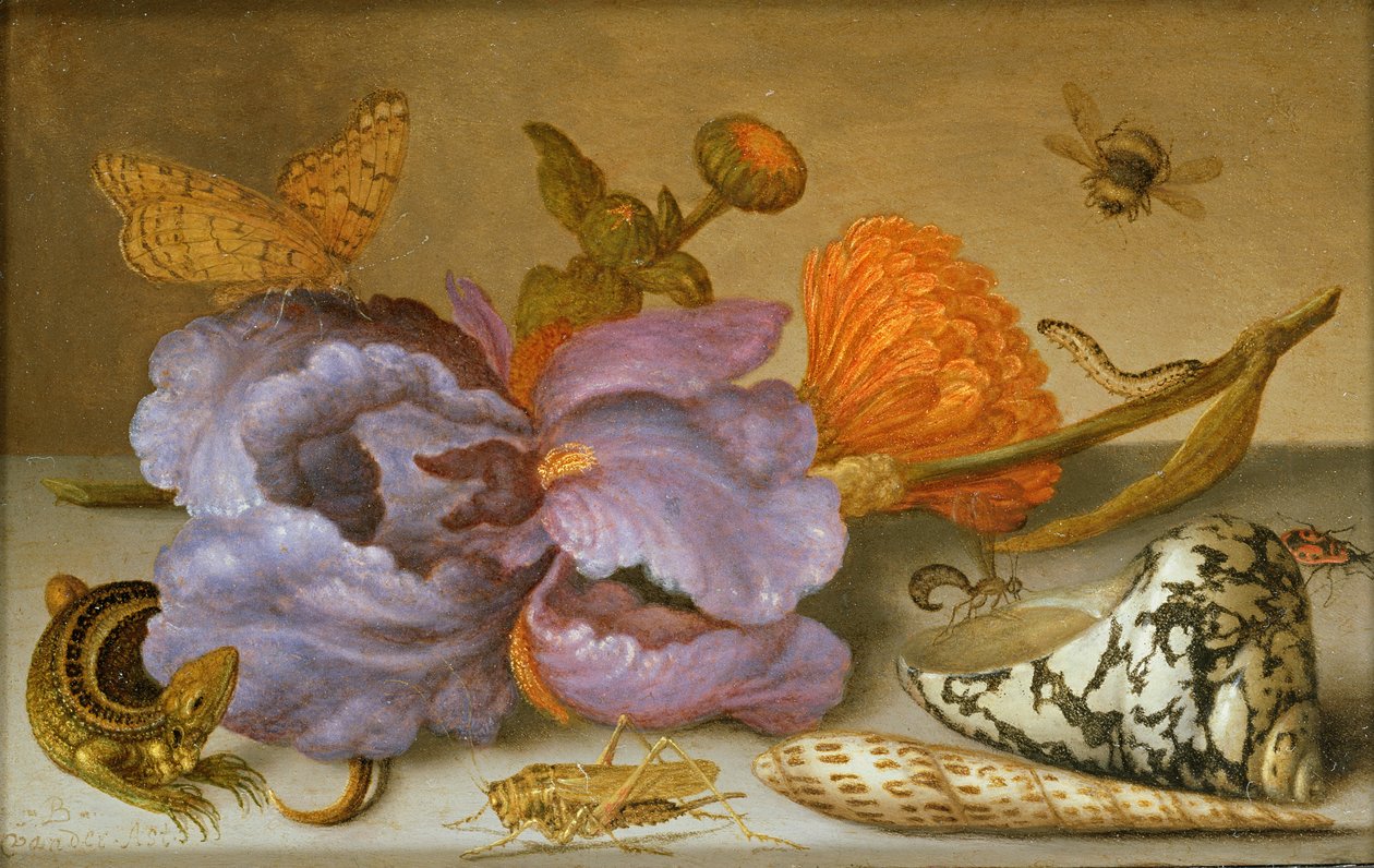 Ainda vida que descreve flores, conchas e insetos (óleo no cobre) (para o par ver 251378) de Balthasar van der Ast