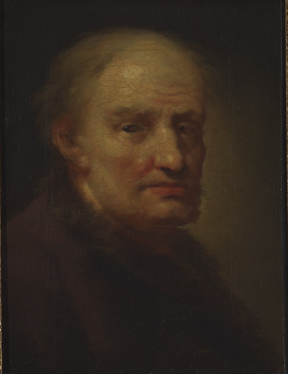 Cabeça de um homem velho (óleo sobre tela) de Balthasar Denner