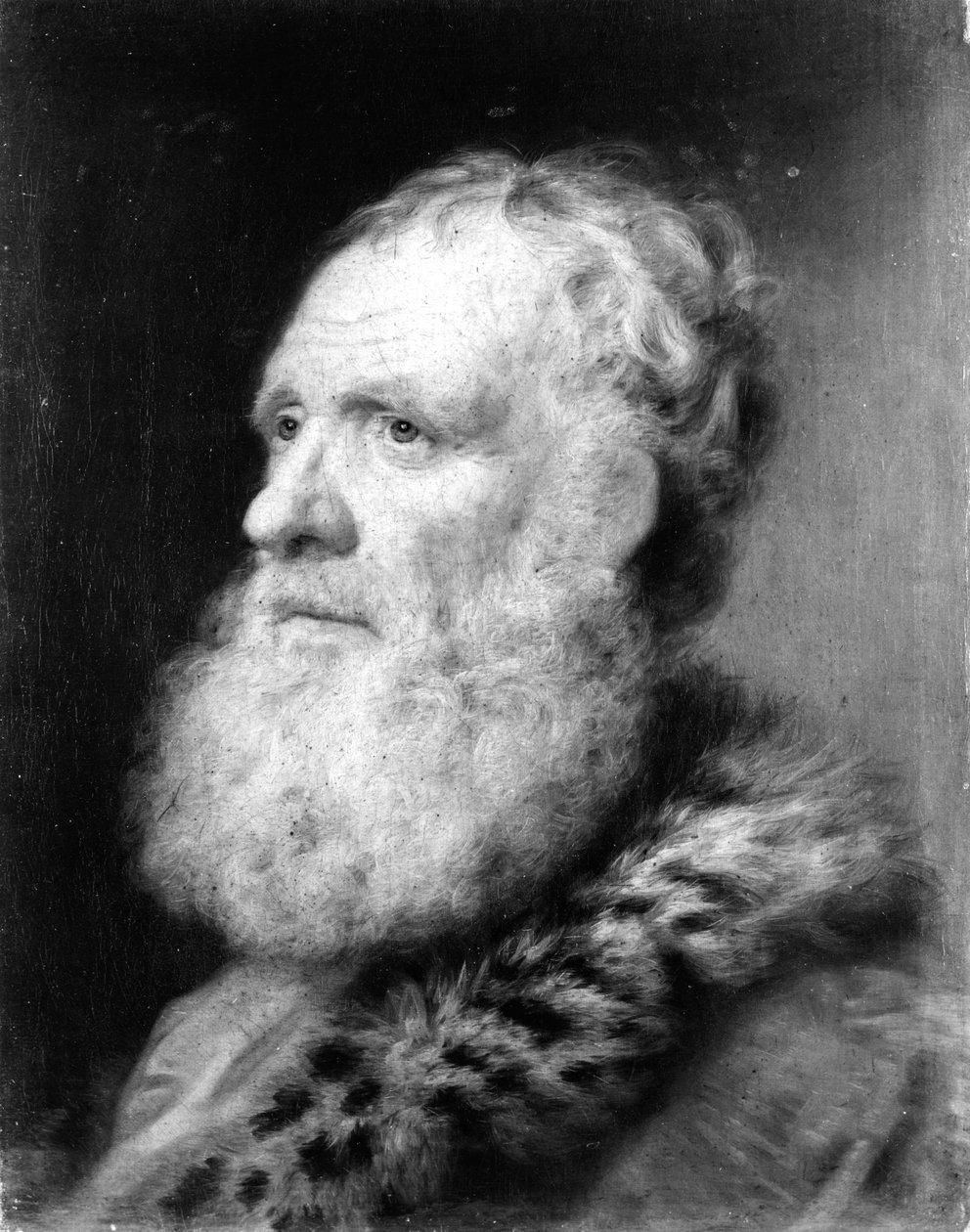 Cabeça de um homem idoso de Balthasar Denner