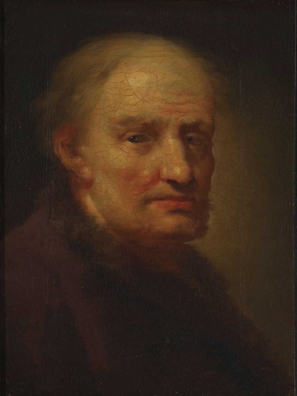 Cabeça de um homem idoso de Balthasar Denner