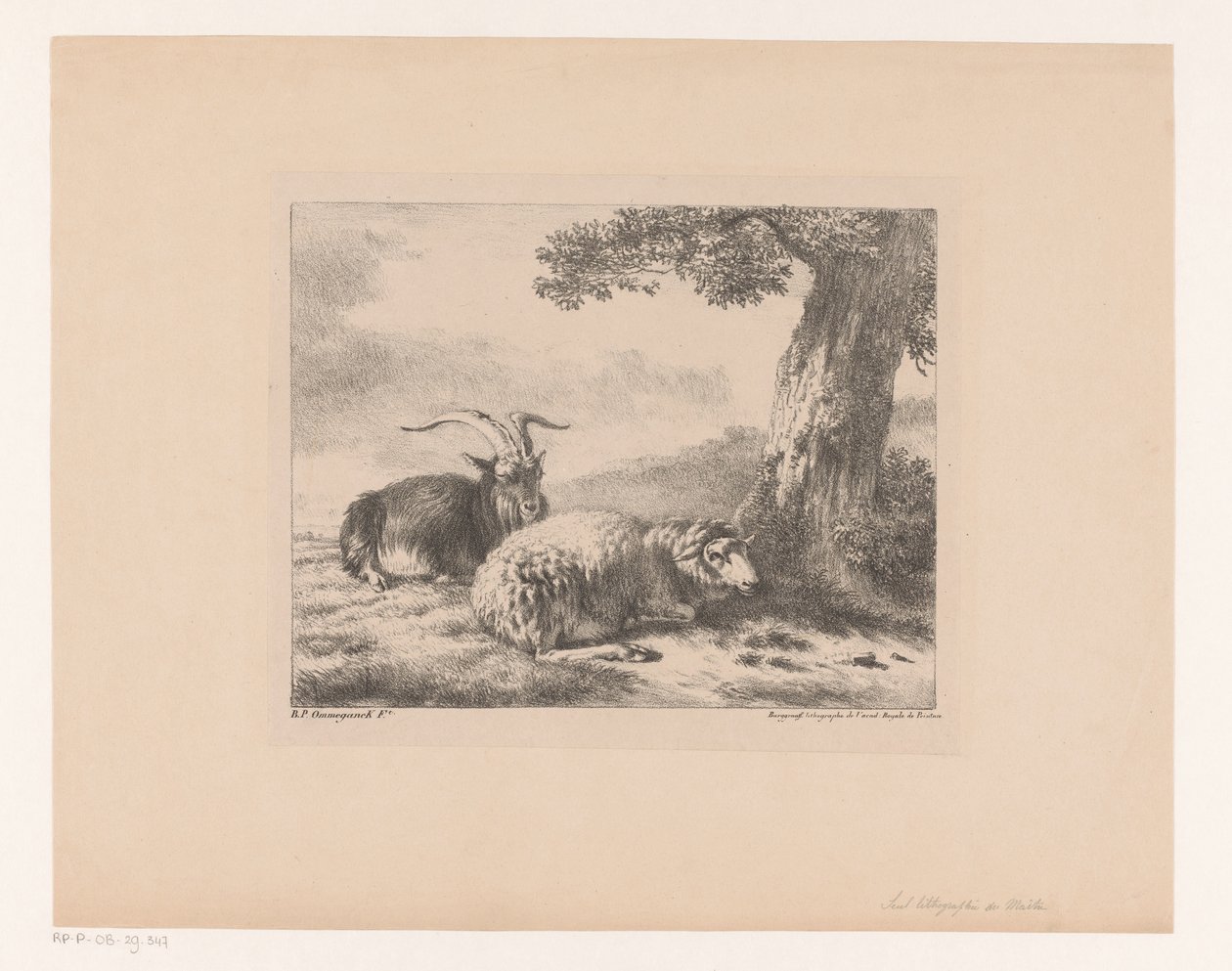 Corço e ovelha de Balthasar Paul Ommeganck