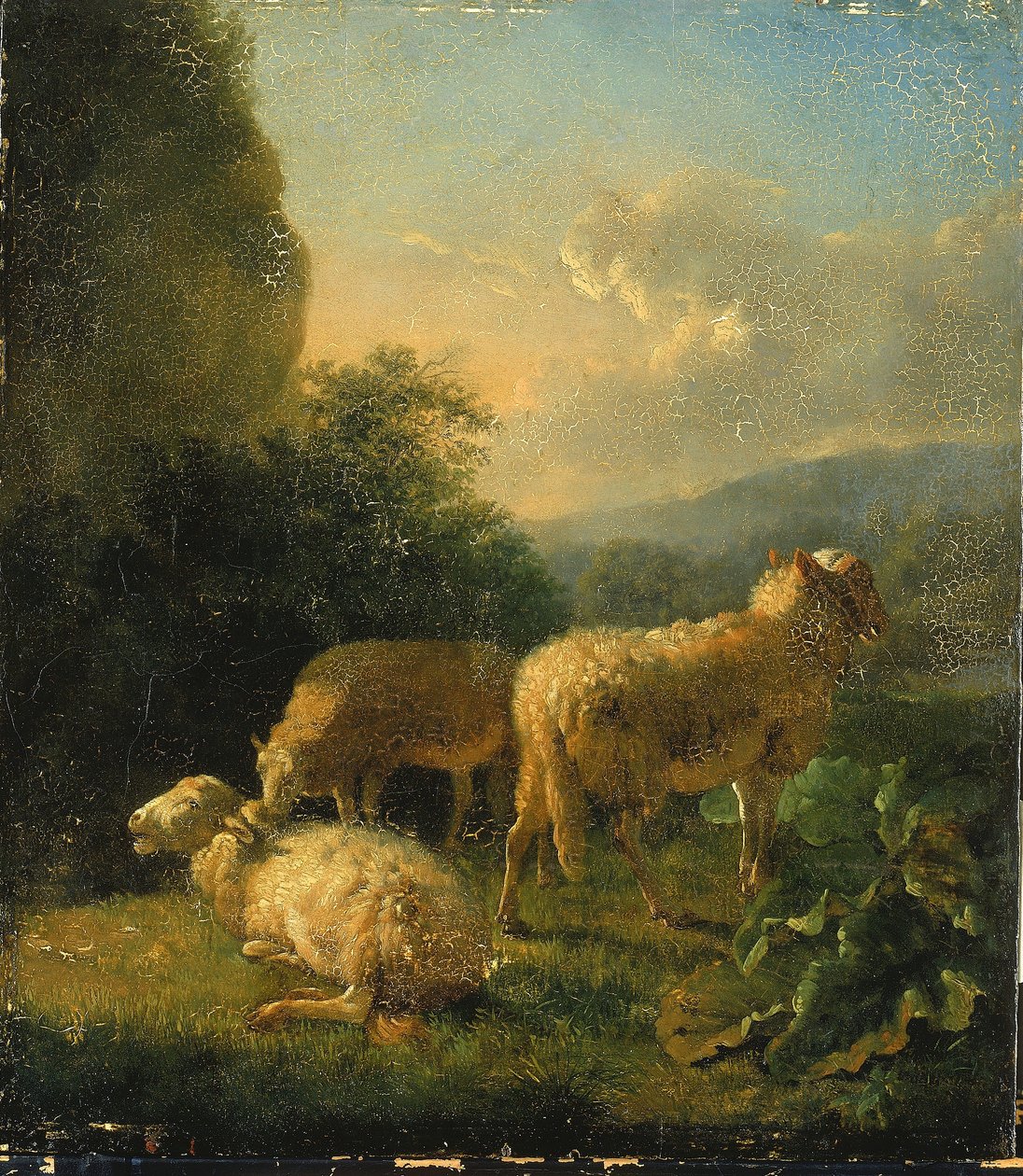 Ovinos de Balthasar Paul Ommeganck