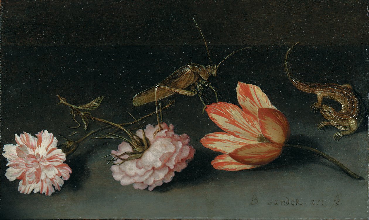 Cravos, uma tulipa papagaio, um gafanhoto e um lagarto em uma borda de Balthasar van der Ast