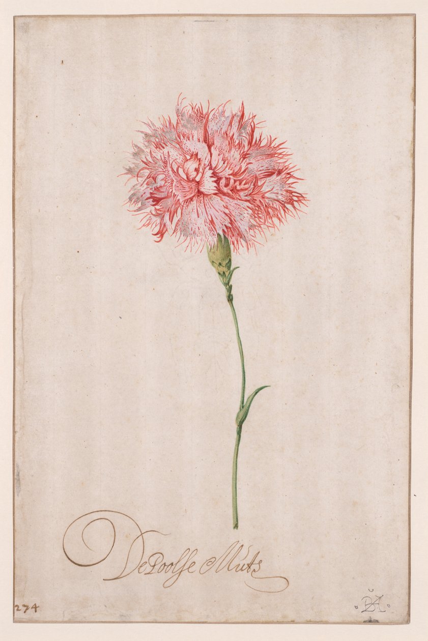 De Poolse Muts de Balthasar van der Ast