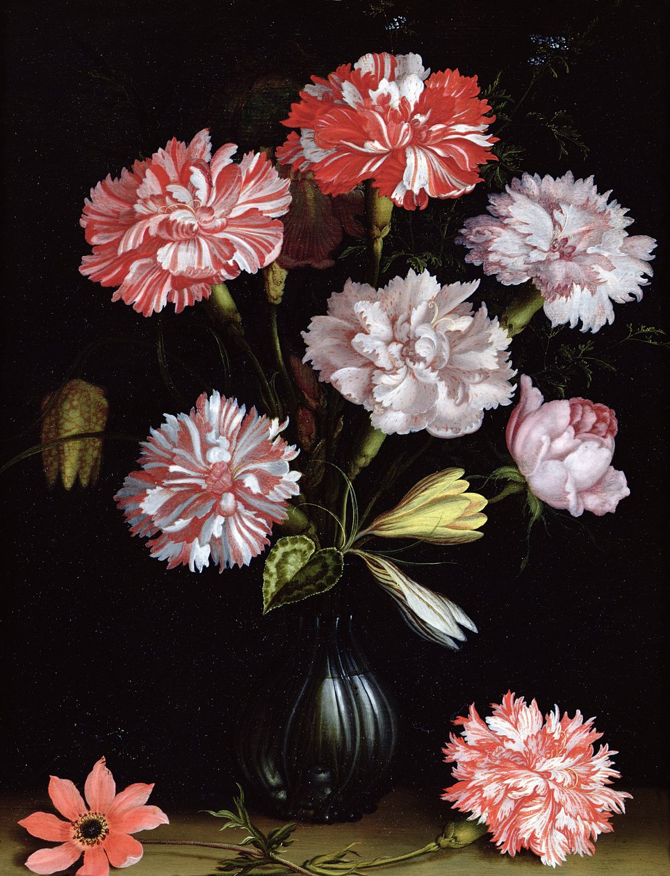 Estudo Floral: Cravos em um Vaso (óleo no painel) de Balthasar van der Ast