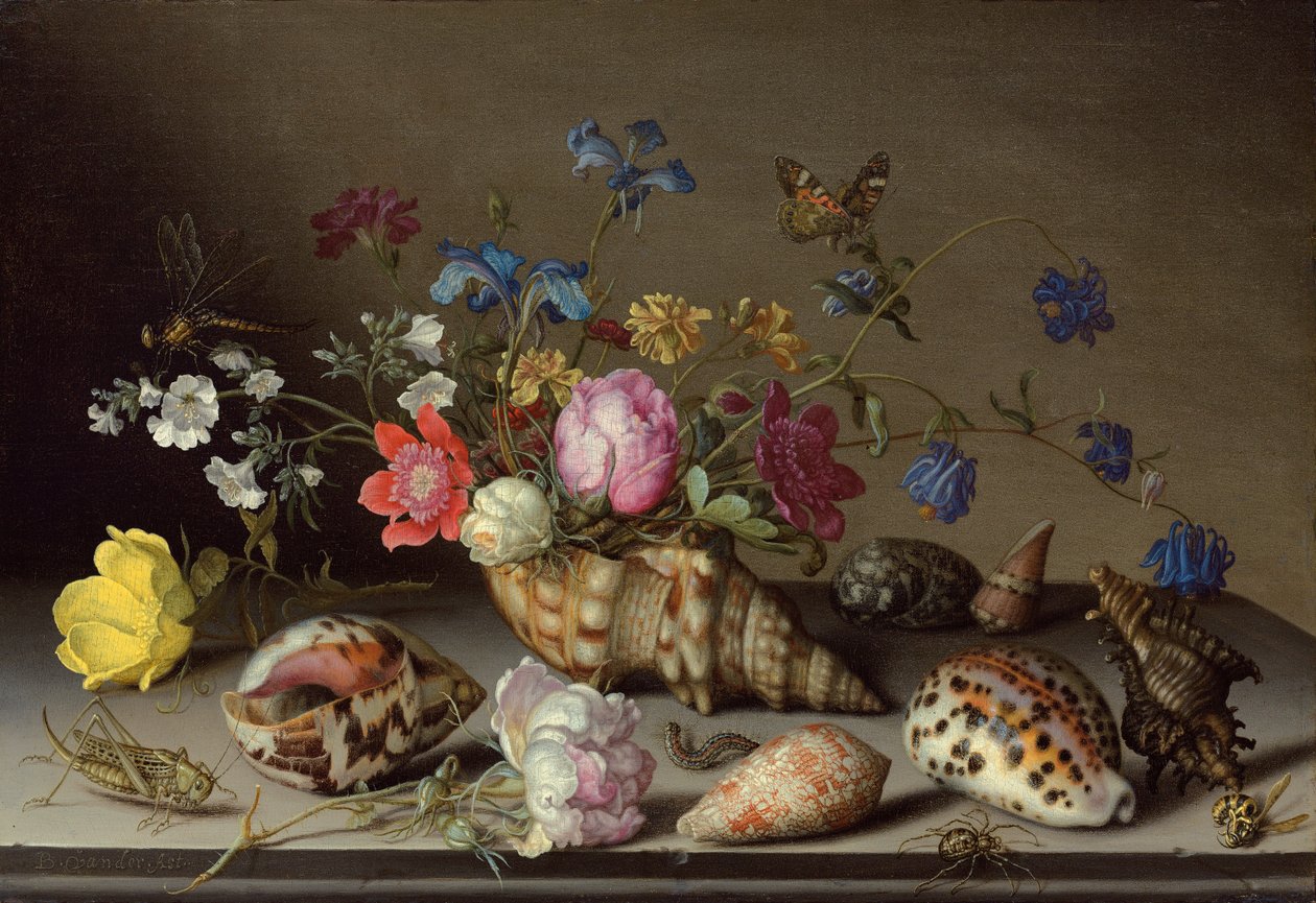 Flores, conchas e insetos em uma borda de pedra de Balthasar van der Ast