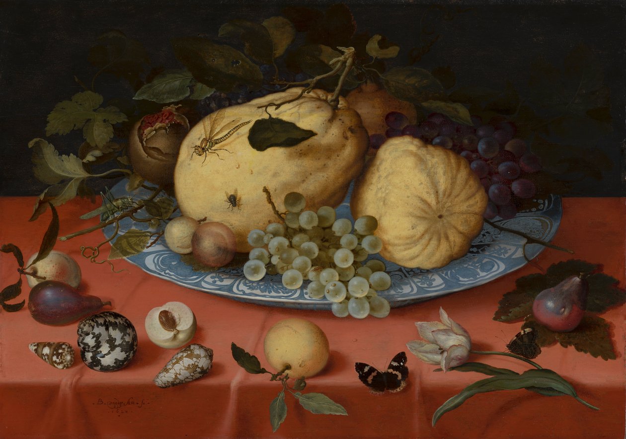 Natureza morta de frutos com conchas e tulipas de Balthasar van der Ast