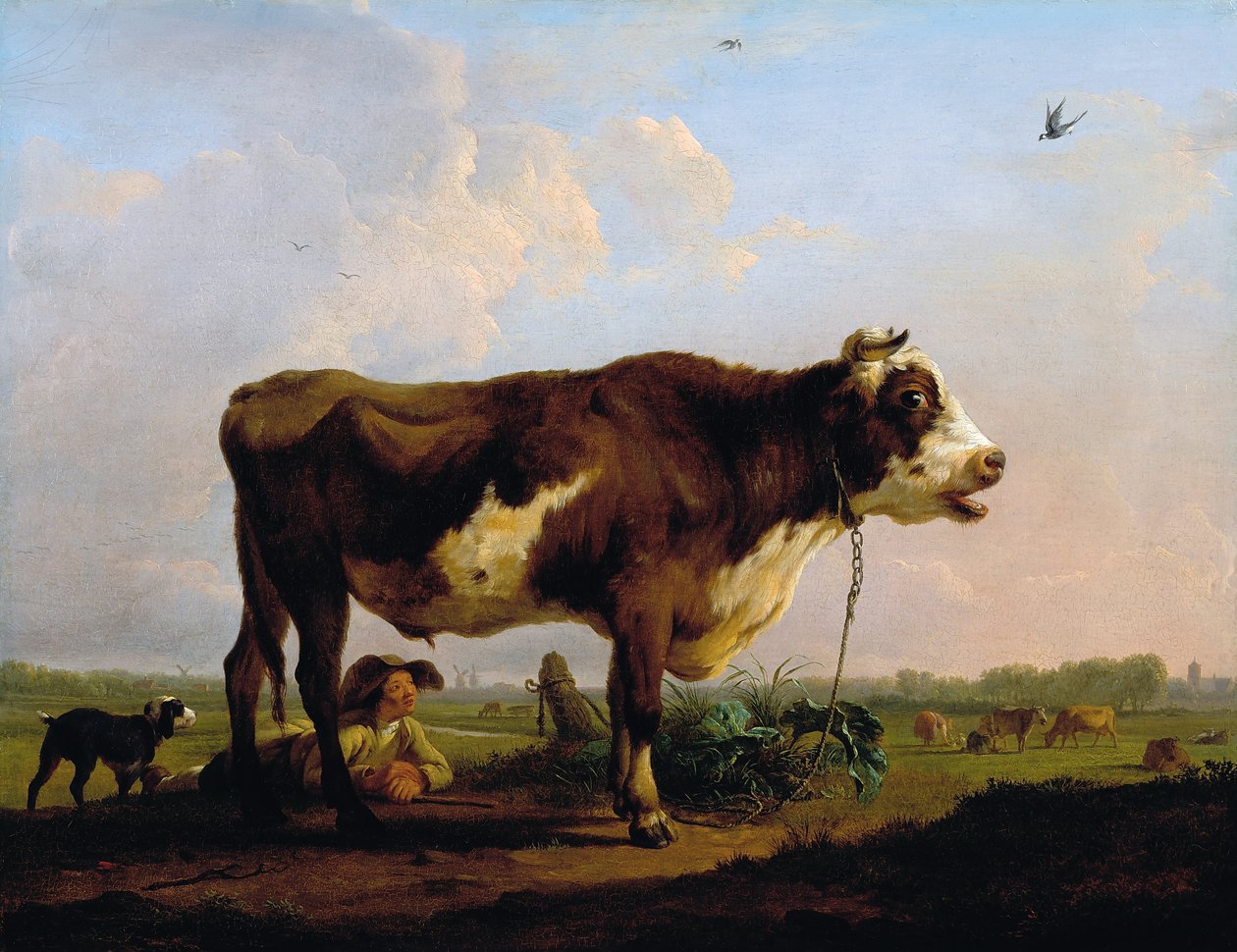 Um touro de Balthasar Paul Ommeganck