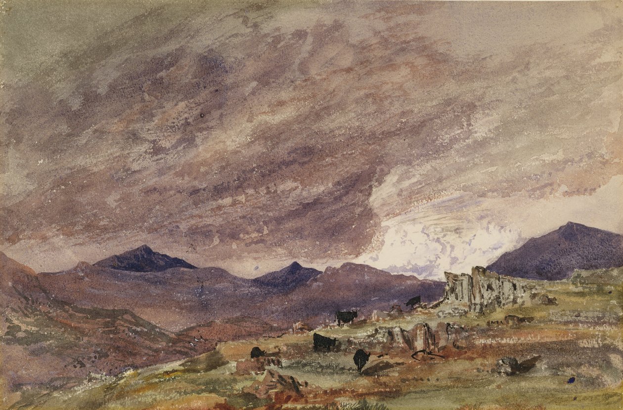 Paisagem montanhosa com céu tempestuoso de Barbara Leigh Smith Bodichon