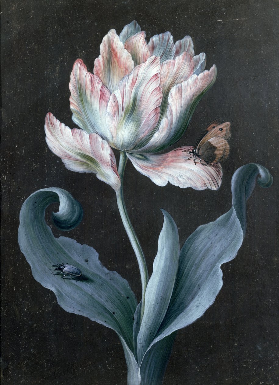 Papagaio de tulipa com borboleta e besouro (guache) de Barbara Regina Dietzsch