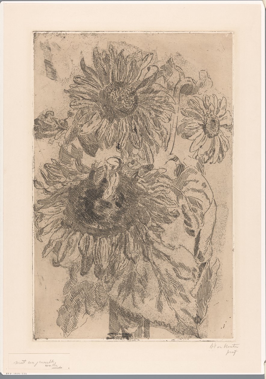 Três girassóis em um vaso de Barbara Elisabeth van Houten (signed by artist)