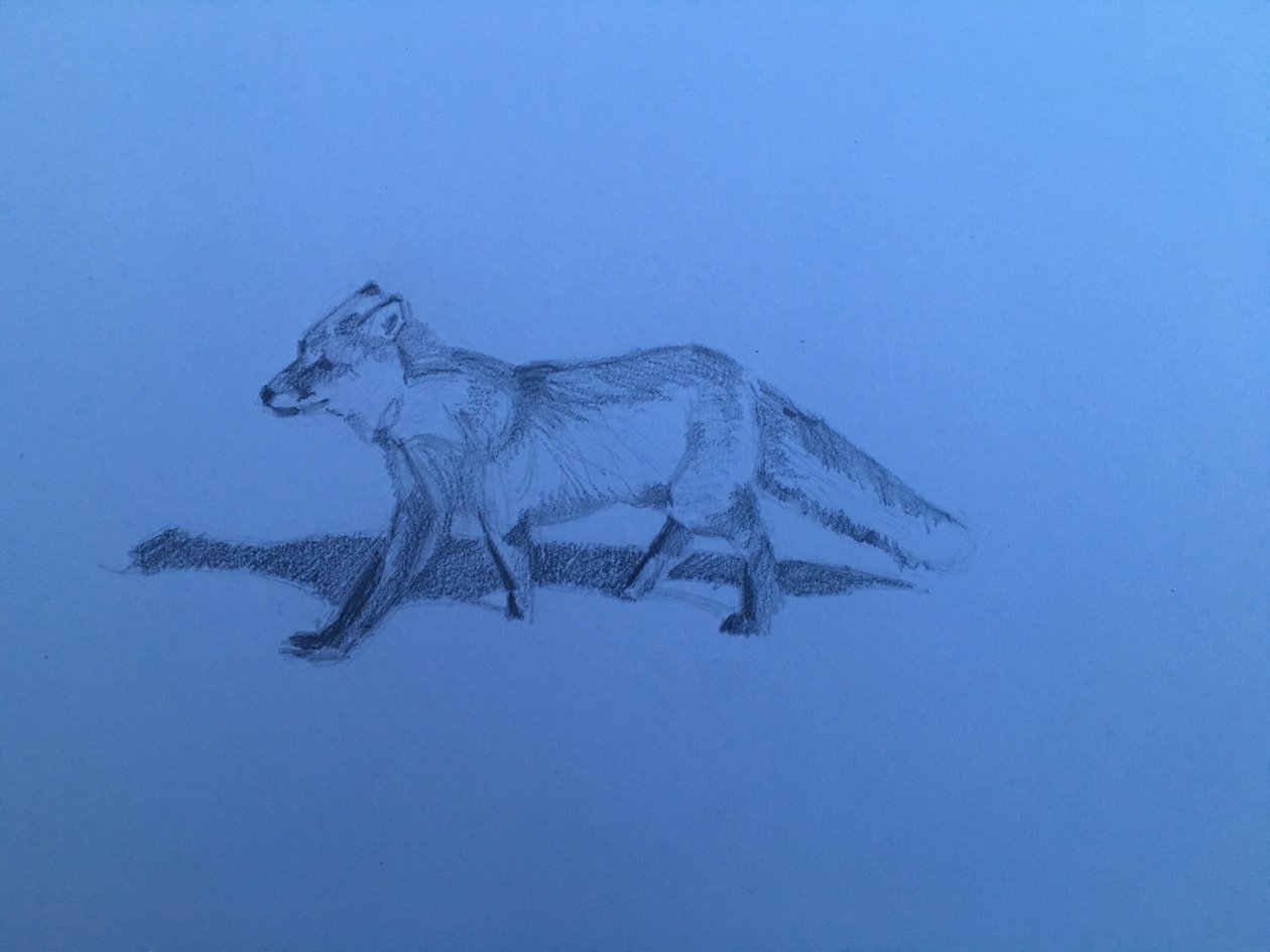 Fox, 2018 de Barbara Hoogeweegen