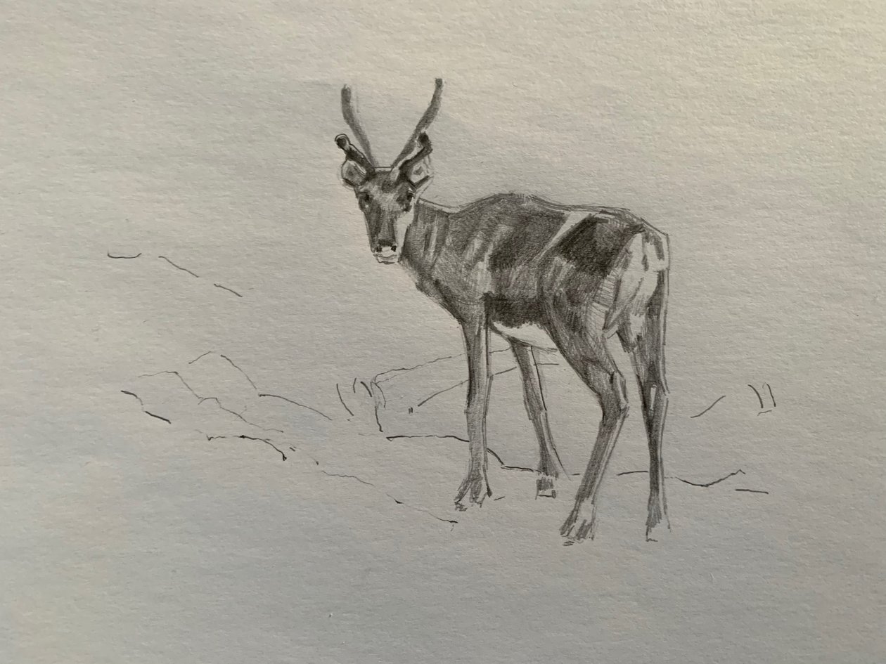Renas, 2019 de Barbara Hoogeweegen