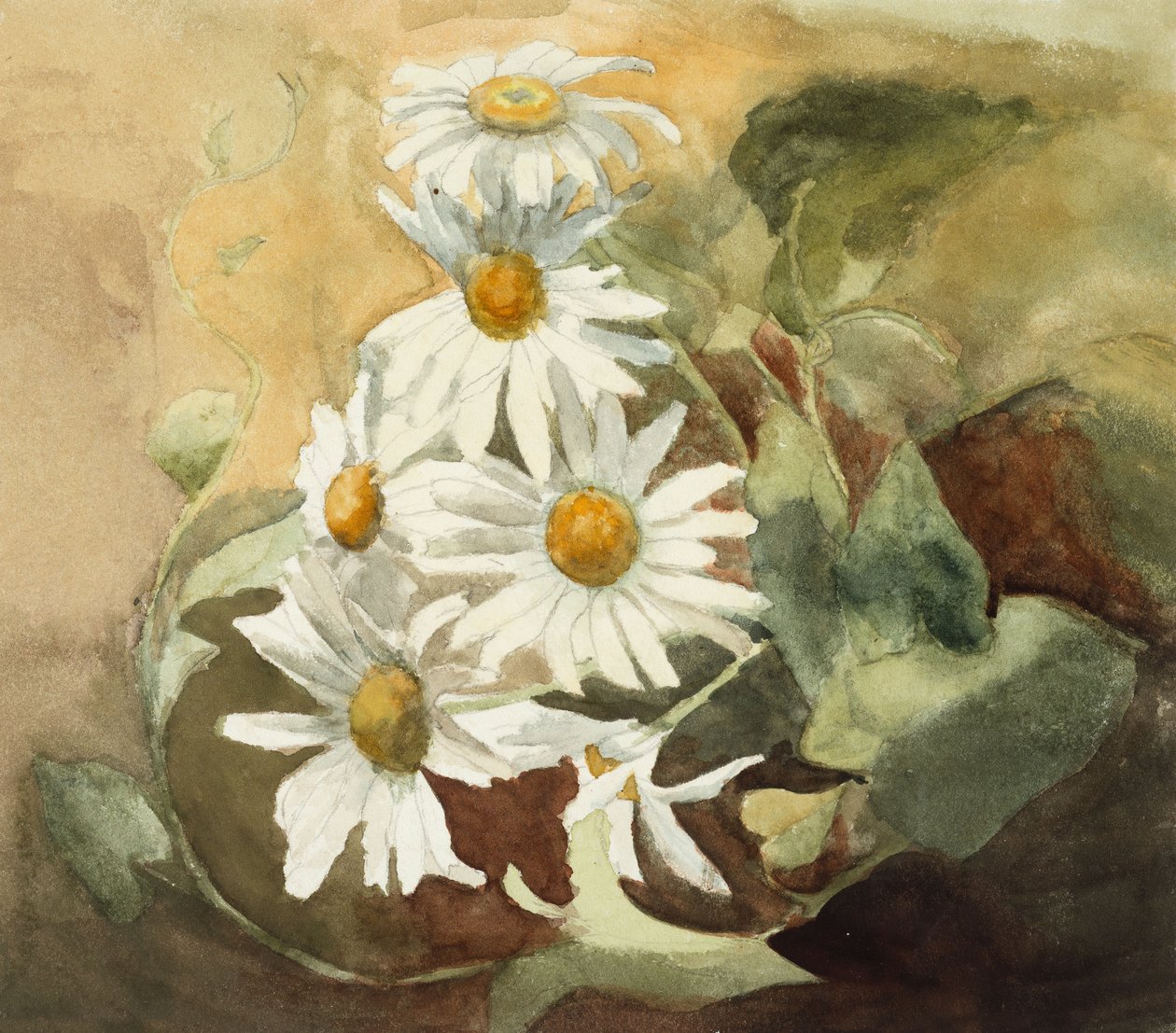 Margaridas (aguarela sobre papel tecido) de Barbara Leigh Smith Bodichon