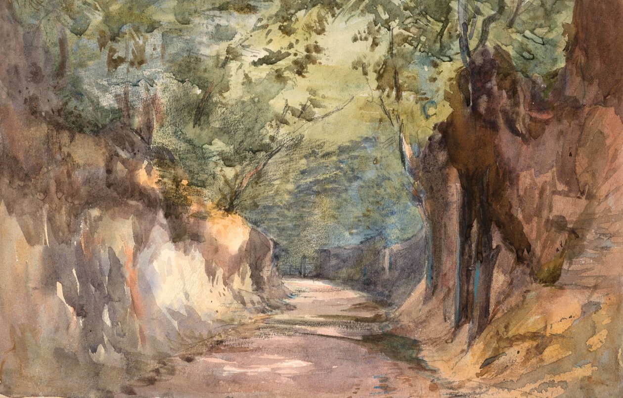 Entrada para Scalands Gate (aguarela e grafite em papel tecido) de Barbara Leigh Smith Bodichon