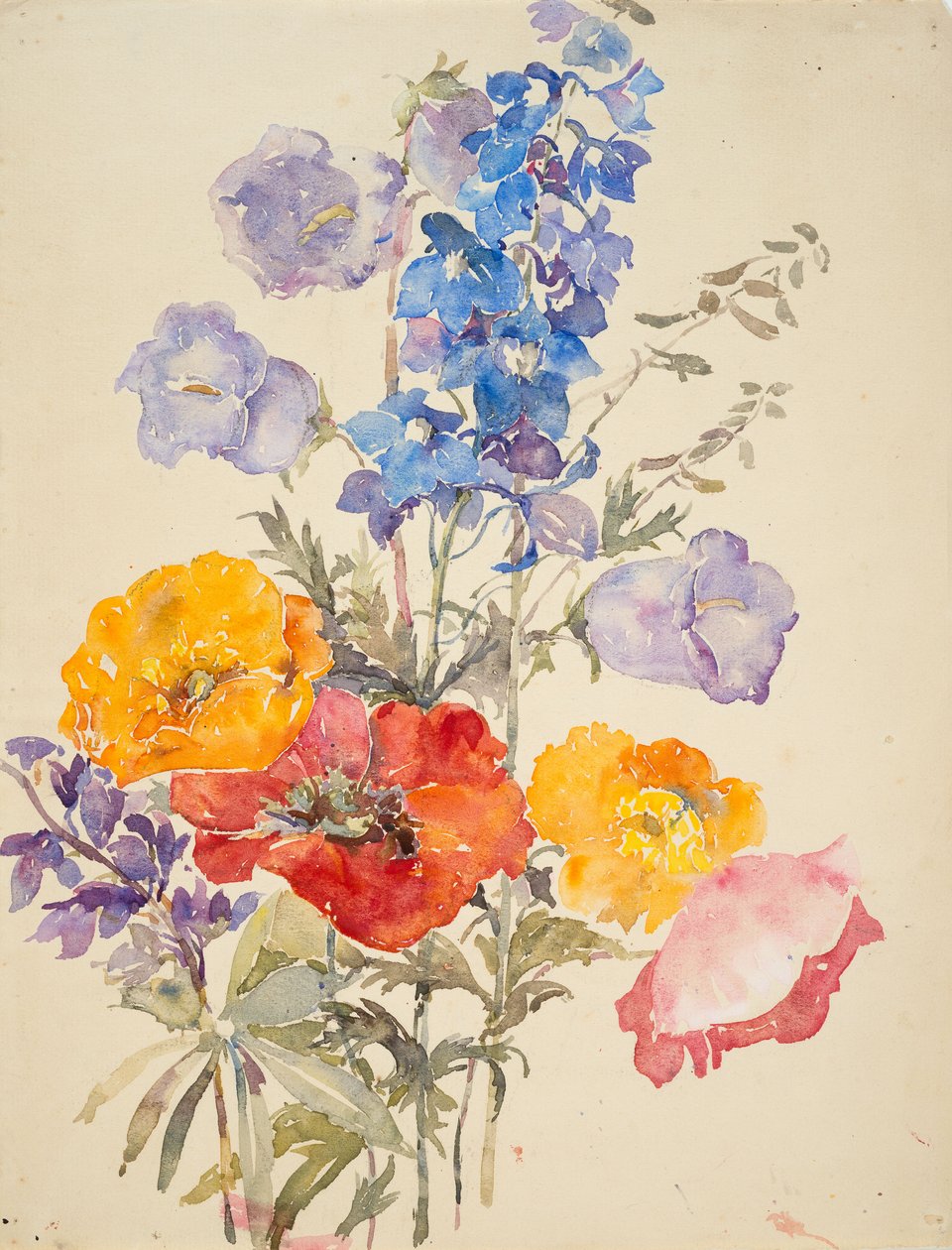 Flores amarelas, vermelhas, e azuis (aguarela e grafite sobre papel assentado) de Barbara Leigh Smith Bodichon