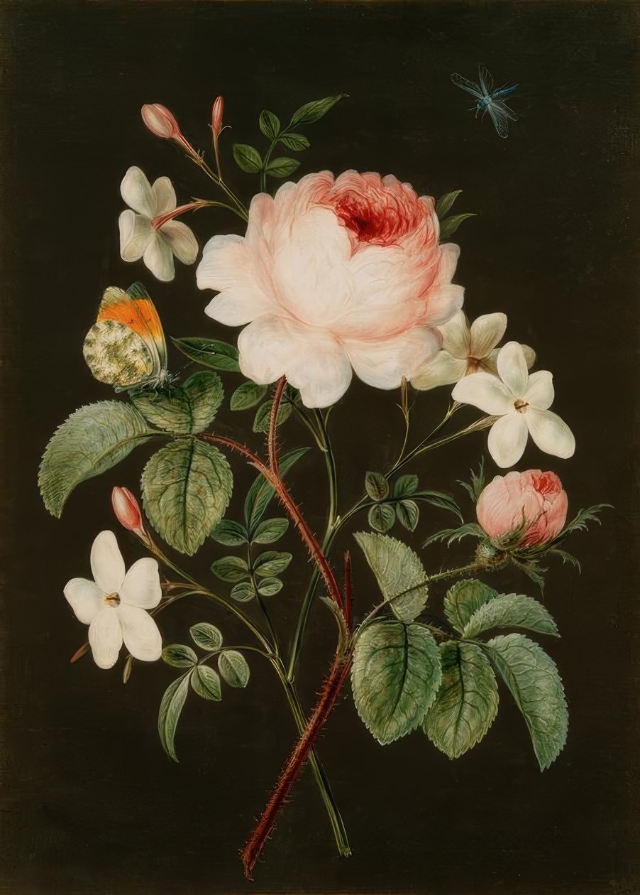 Arranjo de rosa e jasmim de Barbara Regina Dietzsch