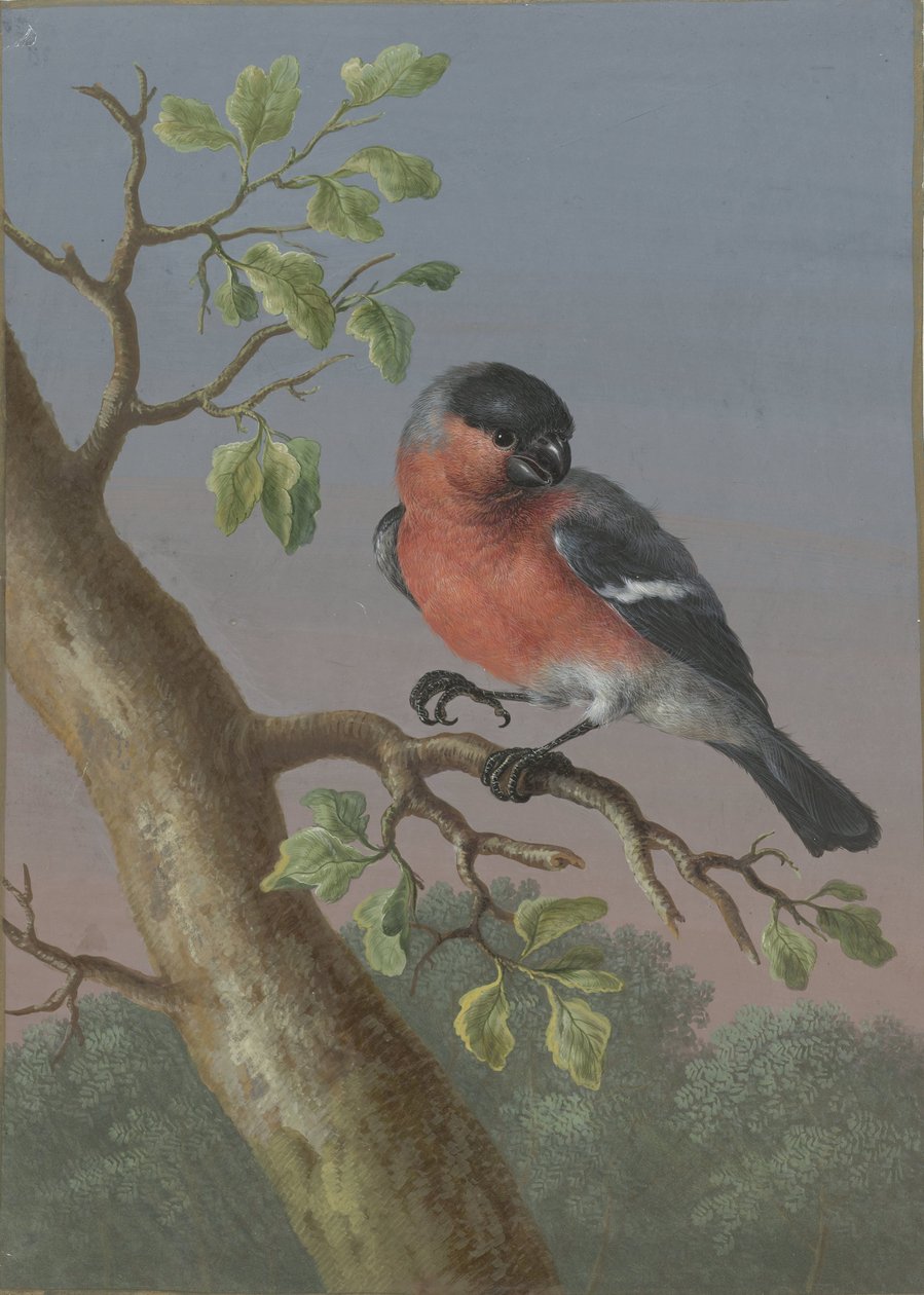 Tribuna
Quatro guaches de aves (título da série) de Barbara Regina Dietzsch