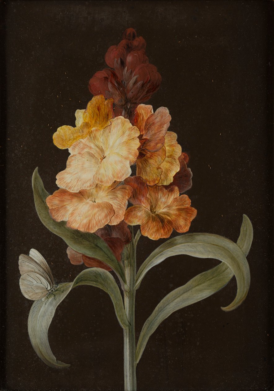Conjunto de quatro naturezas-mortas com borboletas (guache sobre papel colocado para painel) de Barbara Regina Dietzsch