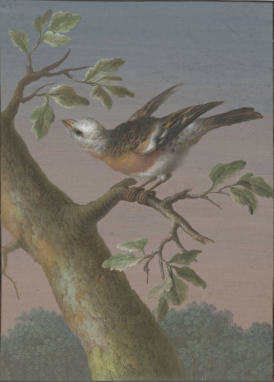 Pão de neve
Quatro guaches de aves (título da série) de Barbara Regina Dietzsch