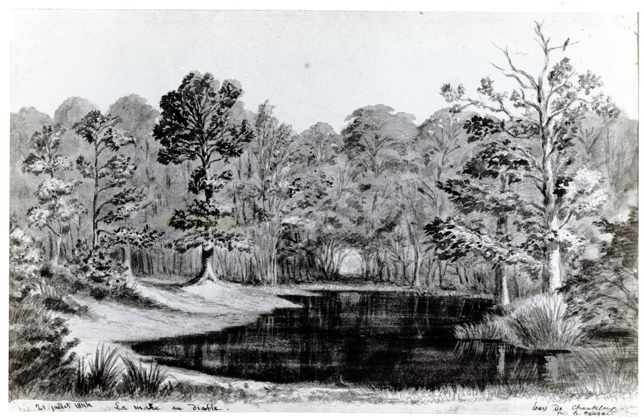 Piscina do diabo no Bois de Chanteloup, 1844 de Maurice Sand