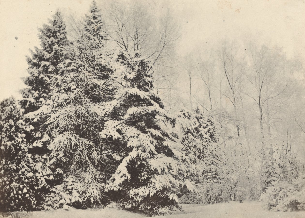 Paysage de sapins sous la neige de Baron A. Fays