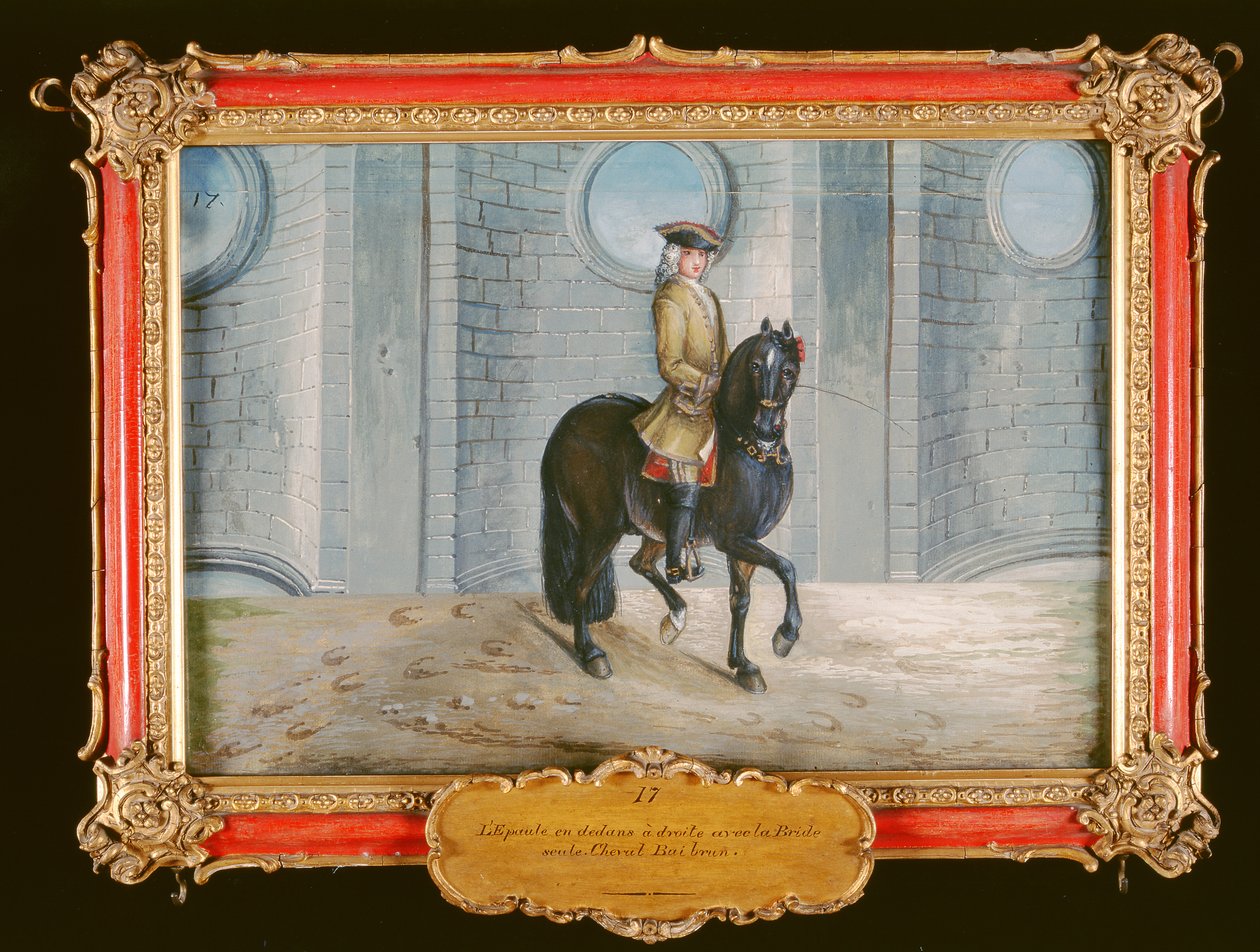 No. 17 Um cavalo baio escuro da Escola de Equitação Espanhola que executa um passo de adestramento de ombro-em-cima (wc em papel) de Baron Reis Eisenberg