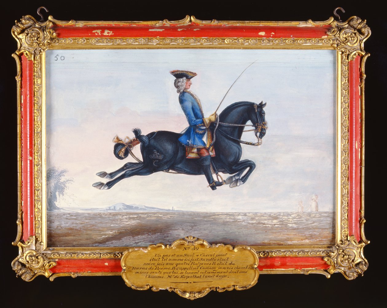 No. 50 Um cavalo negro chamado Curioso executando um movimento de adestramento chamado Capriole (wc no papel) de Baron Reis Eisenberg