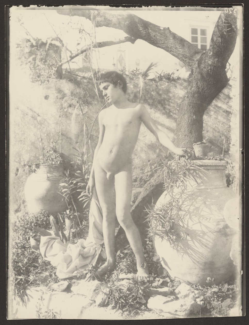 [Jovem nu no jardim]. de Baron Wilhelm von Gloeden