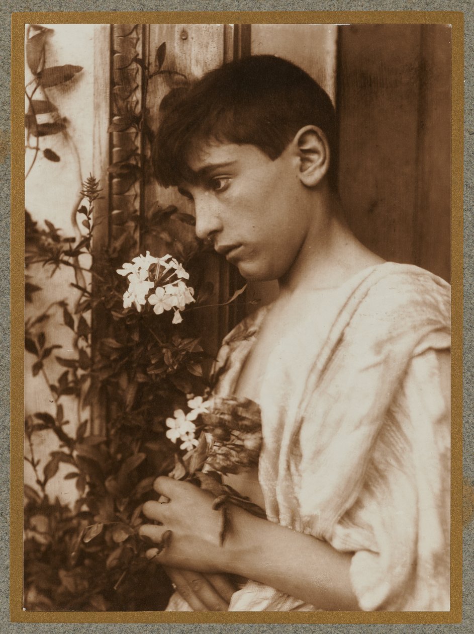Rapaz siciliano de Baron Wilhelm von Gloeden