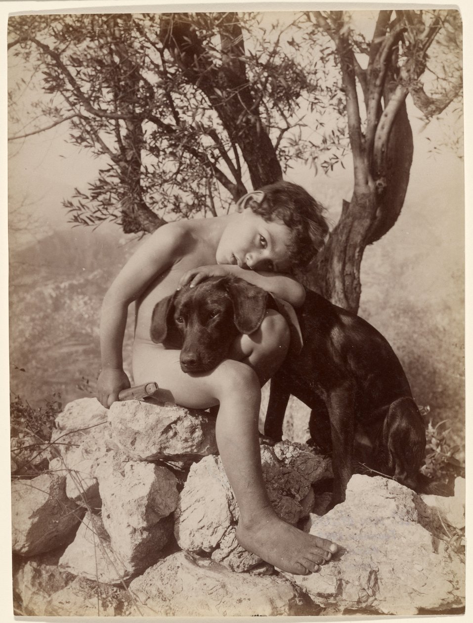 [Menino nu e cão] de Baron Wilhelm von Gloeden