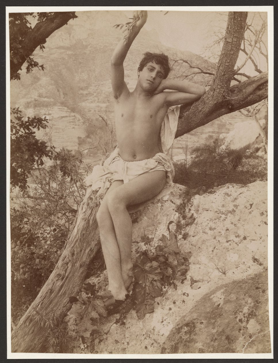 [Jovem numa árvore com o braço levantado] de Baron Wilhelm von Gloeden