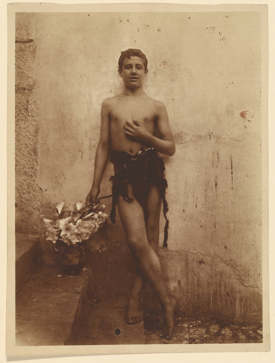 [Juventude com lírios]. de Baron Wilhelm von Gloeden