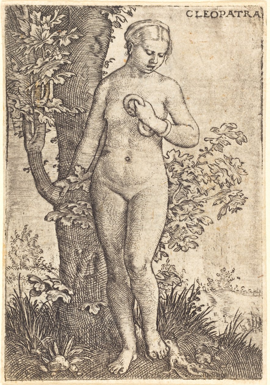 Cleópatra de Barthel Beham