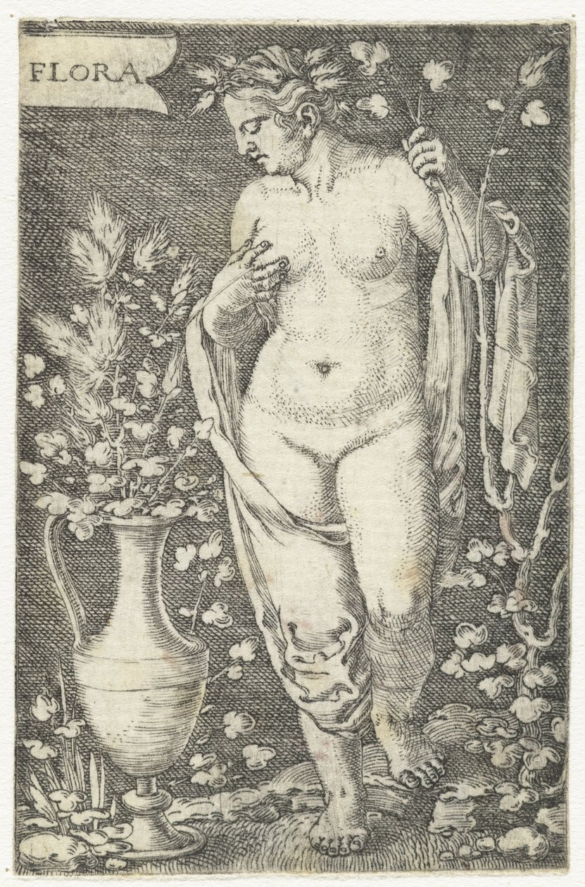Flora (título sobre o objecto) de Barthel Beham