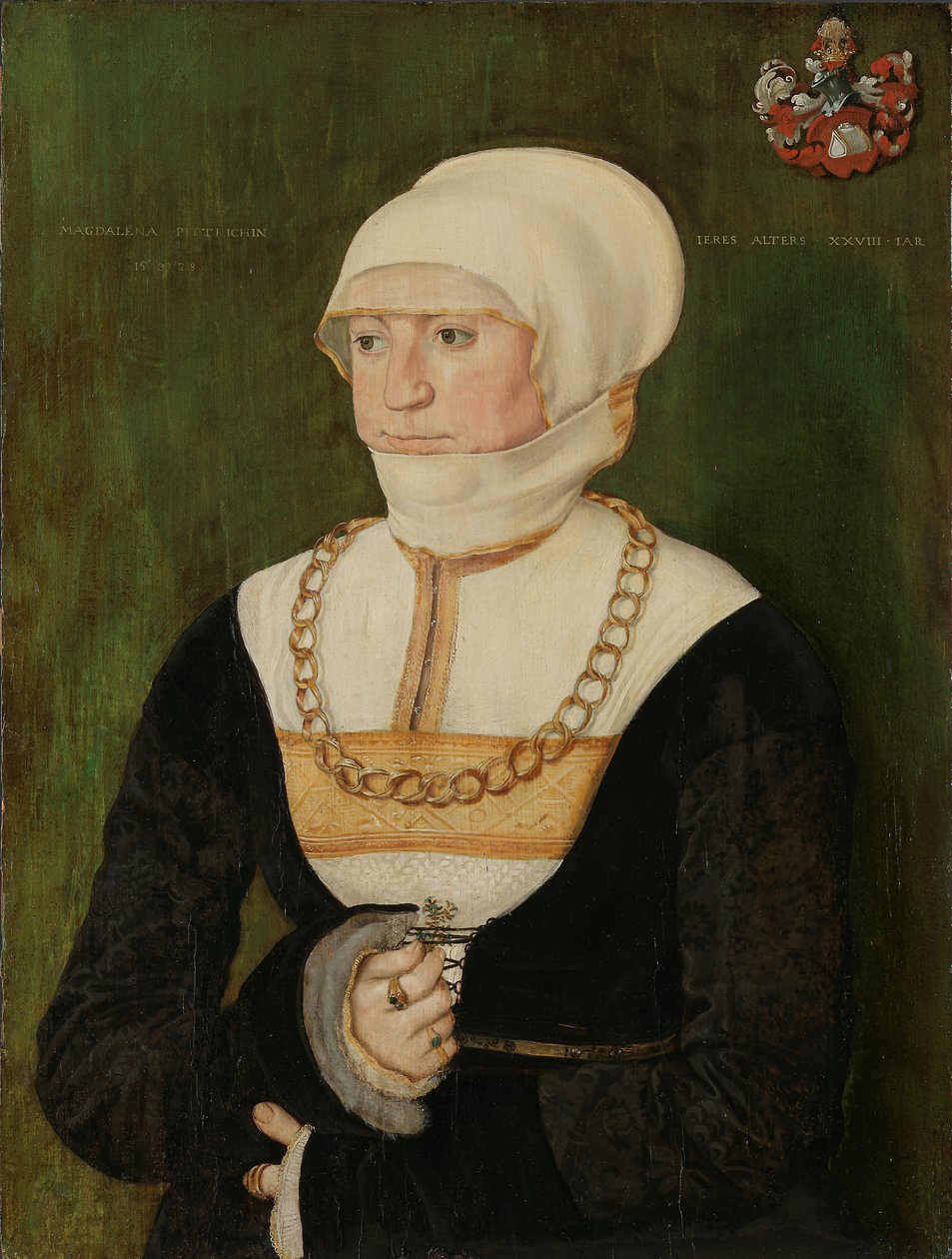 Retrato de Magdalena Pittrichin, 1528. de Barthel Beham