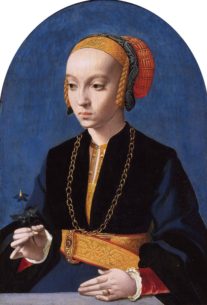 Retrato de Elisabeth Bellinghausen (c.1520- gt; 1570) de Bartholomaeus Bruyn the Elder