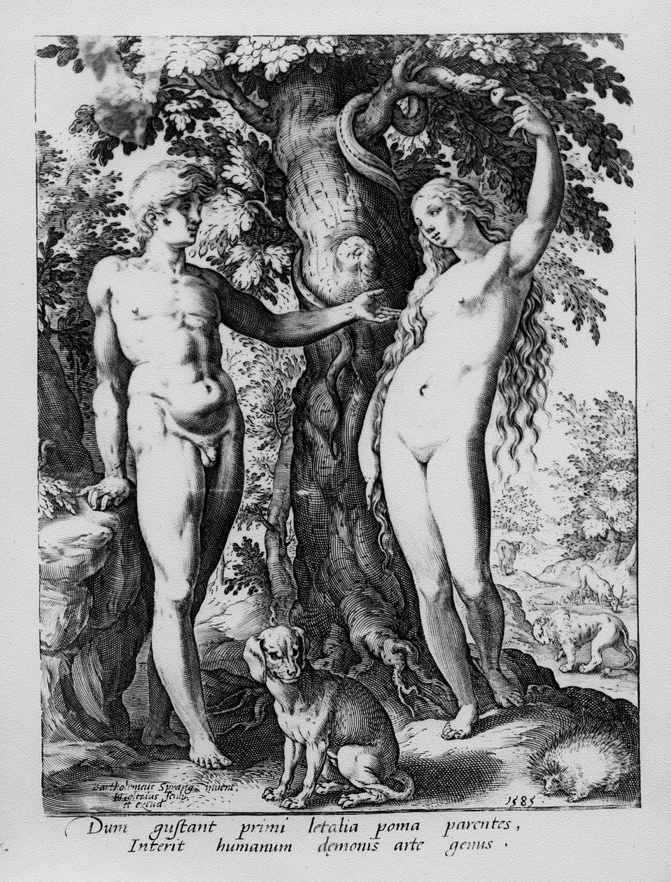 Adão e Eva, gravados por Hendrik Goltzius, 1585 de Bartholomaeus Spranger