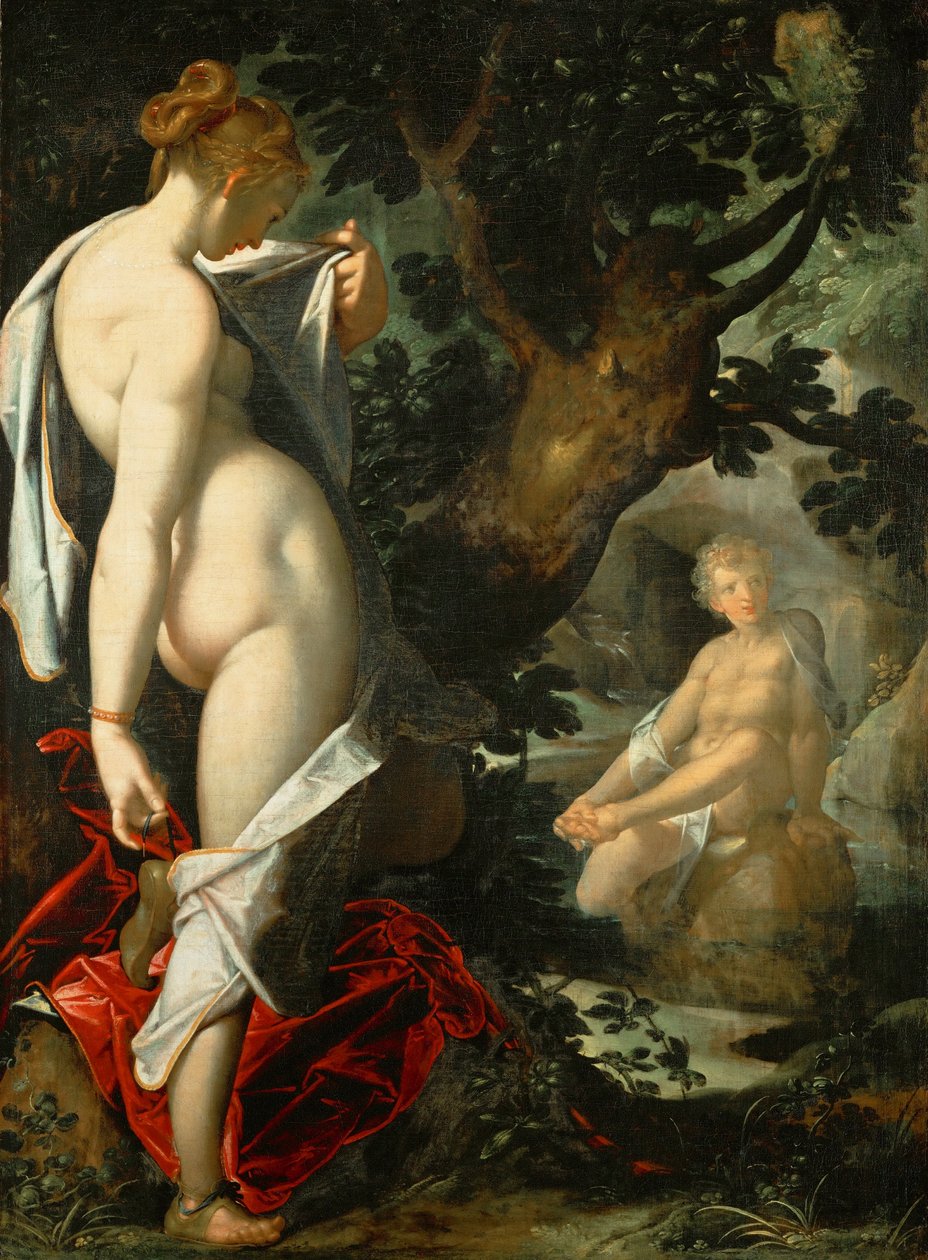 Alemão: Hermaphroditus und die Nymphe Salmacis Hermaphroditus e a ninfa Salmacis de Bartholomeus Spranger