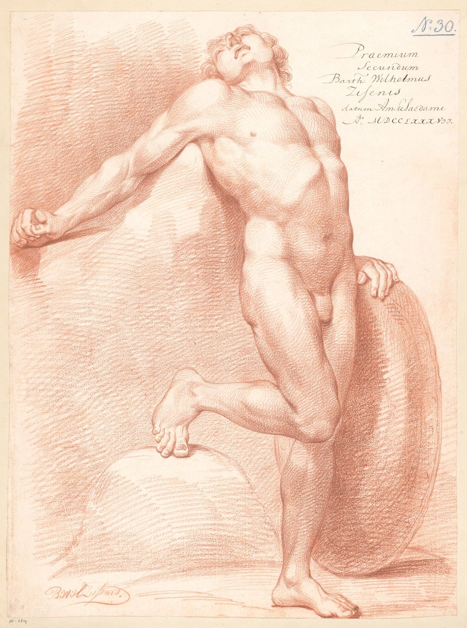 Nu masculino em pé, visto de frente de Bartholomeus Ziesenis