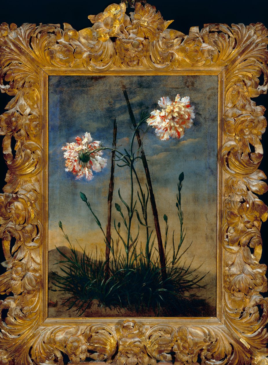 Cravos, em um quadro por Vittorio Crosten de Bartolomeo Bimbi