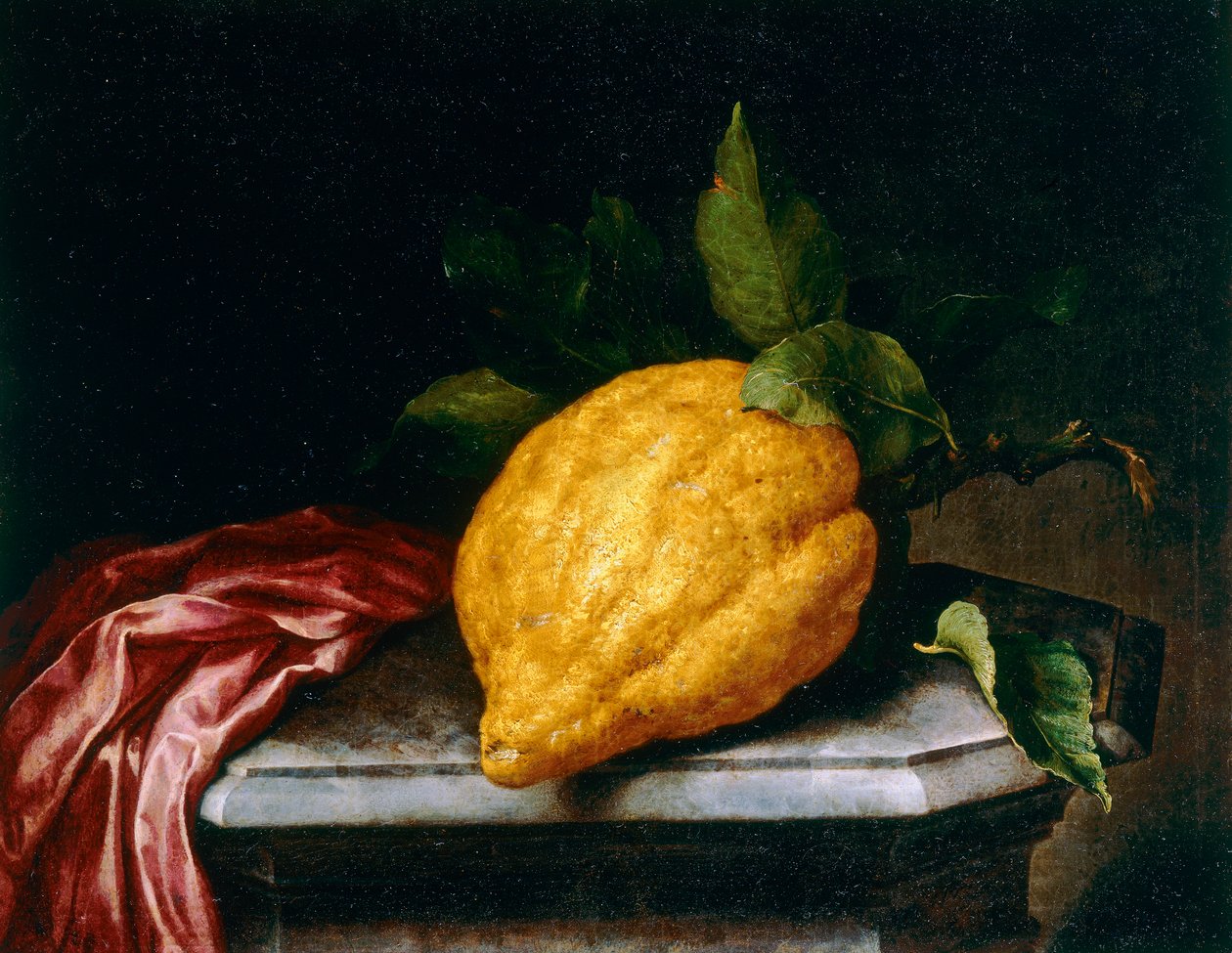 limão de Bartolomeo Bimbi