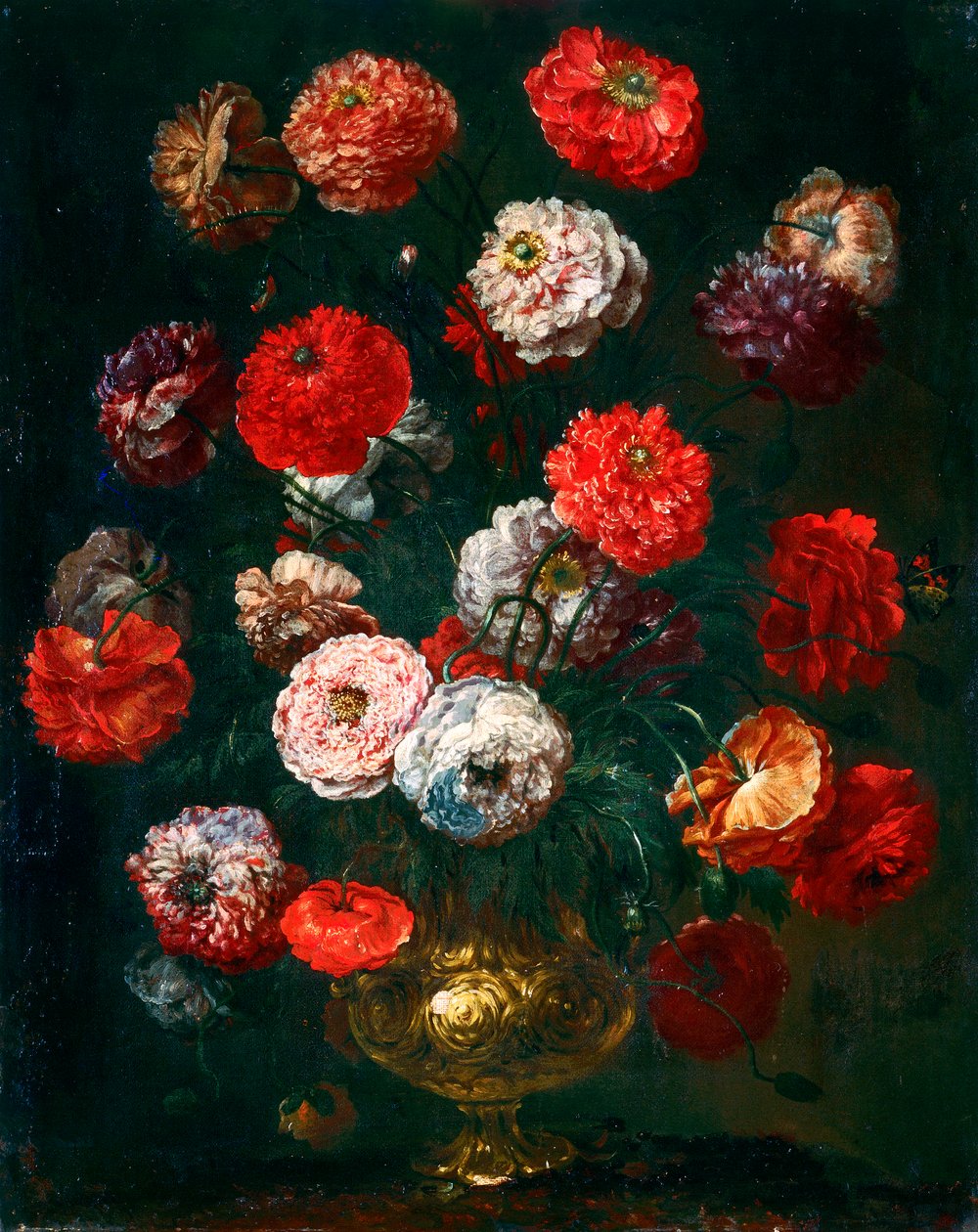 Papoula de Bartolomeo Bimbi